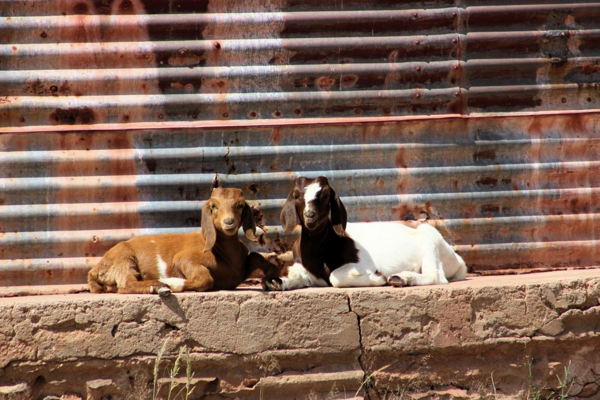 Ferienwohnung The Farm Life - Namibia Maltahohe Exterior foto
