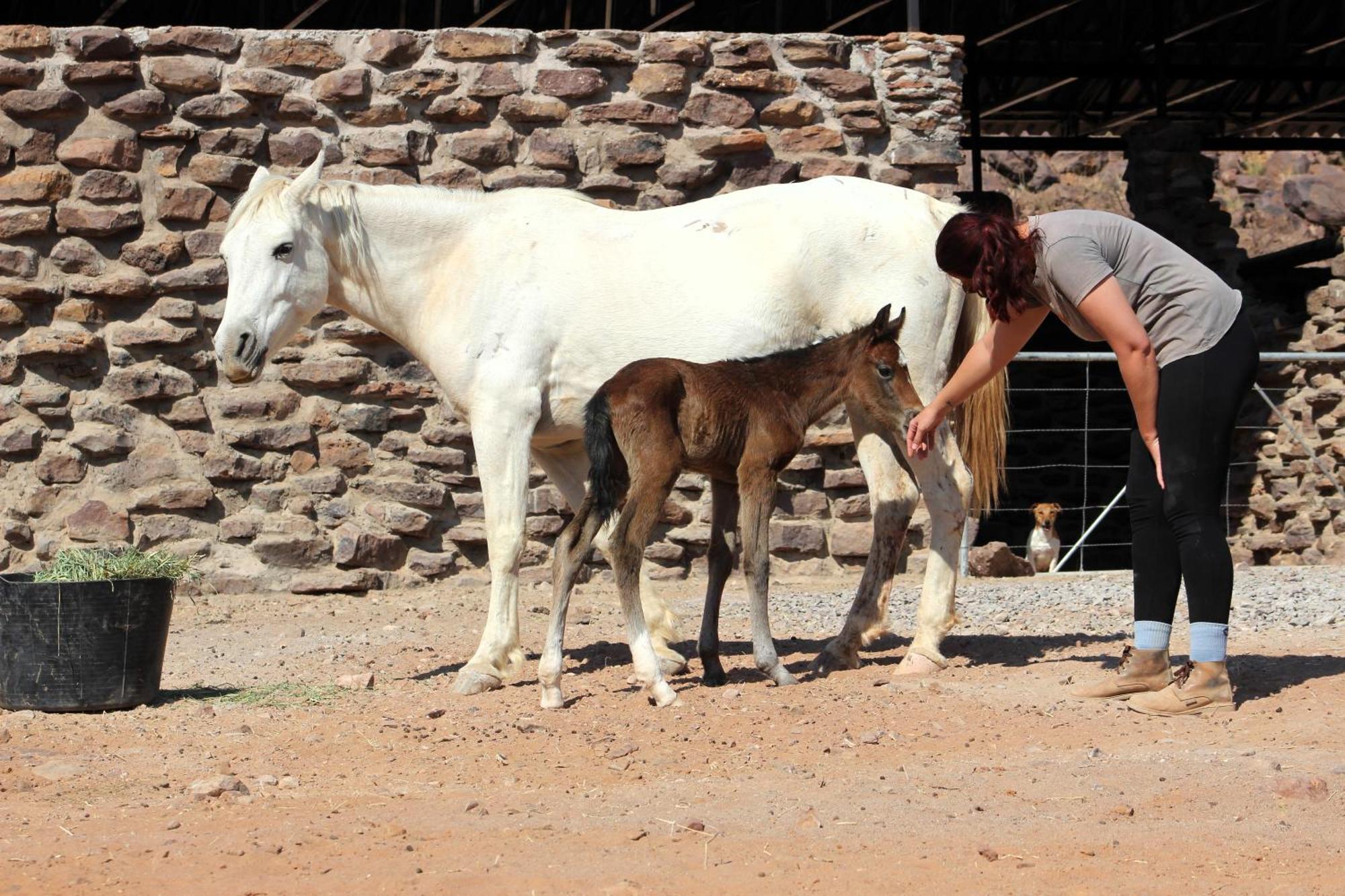 Ferienwohnung The Farm Life - Namibia Maltahohe Exterior foto